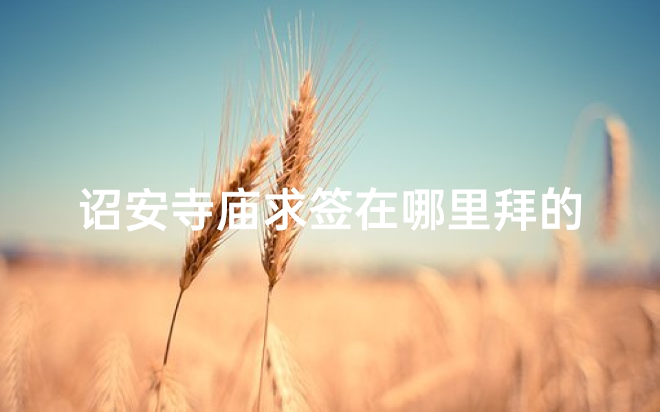 诏安寺庙求签在哪里拜的_诏安哪里算命最准