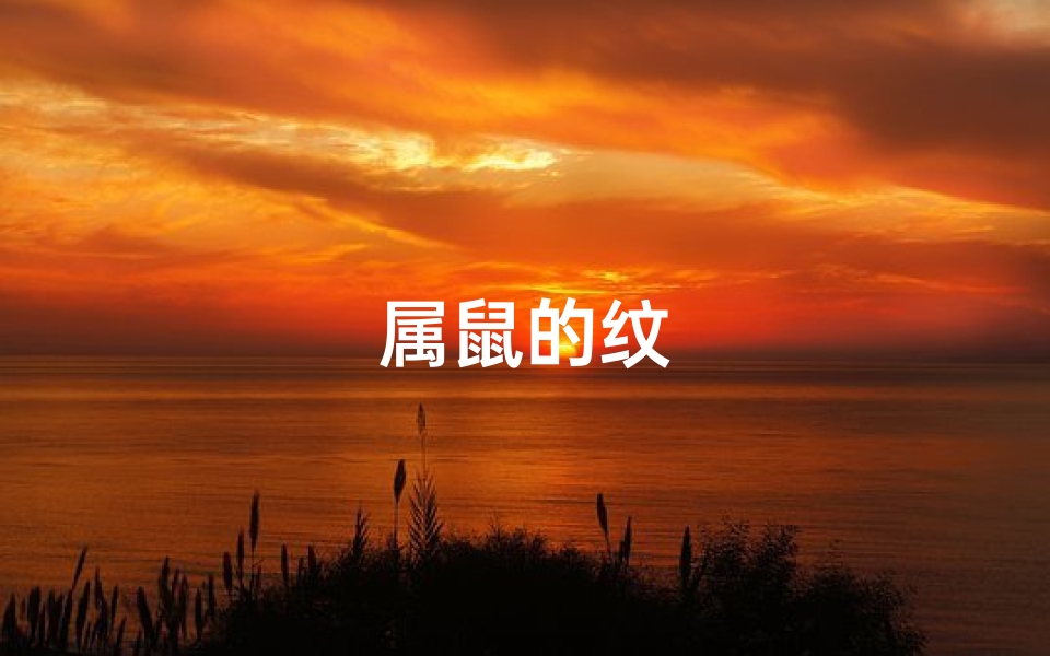 属鼠的纹
