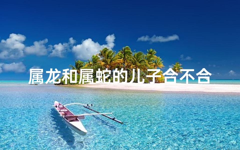 属龙和属蛇的儿子合不合
