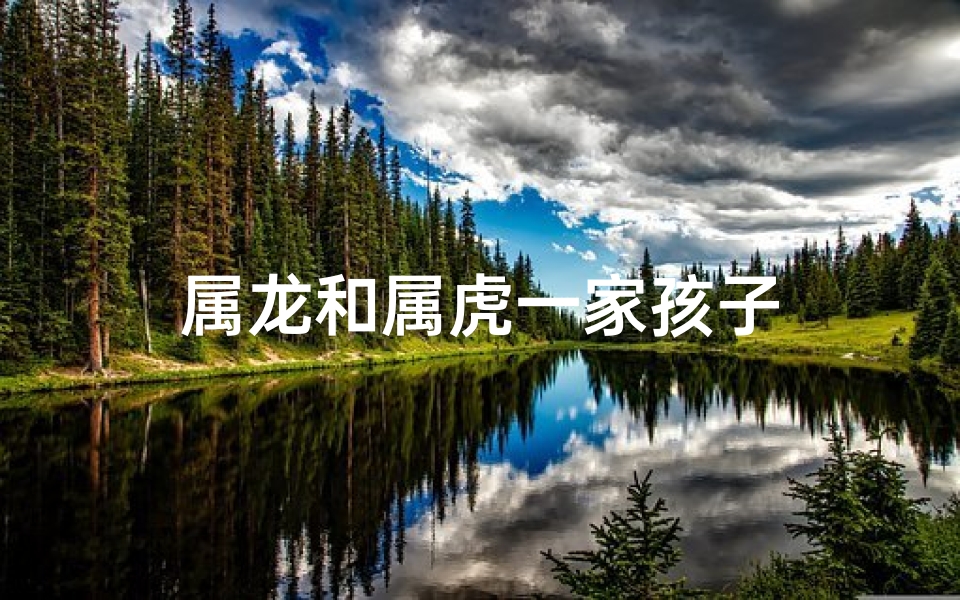 属龙和属虎一家孩子