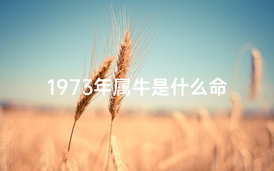 1973年属牛是什么命格的人、1973年属牛是属于什么命