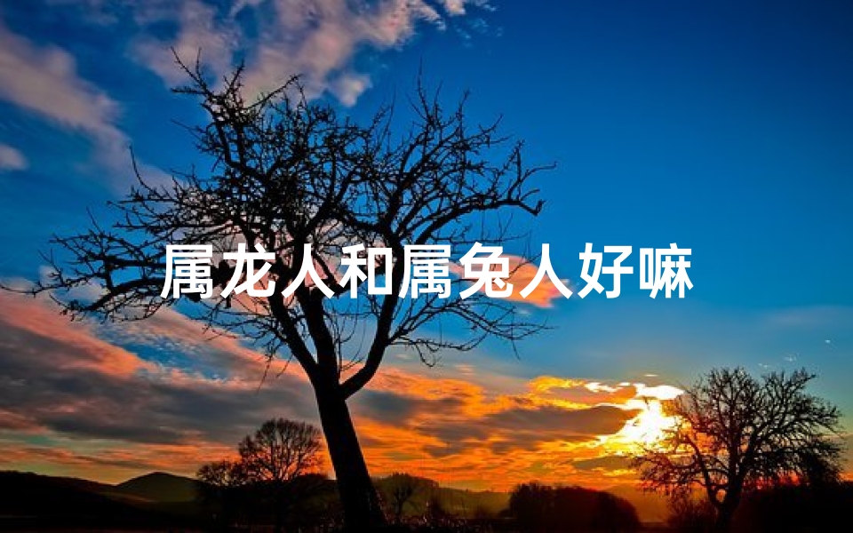 属龙人和属兔人好嘛