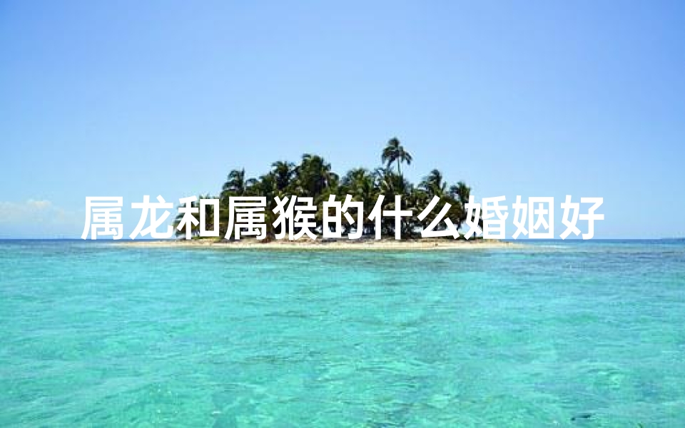 属龙和属猴的什么婚姻好,属龙属猴婚姻配对：和谐共舞的生肖佳缘
