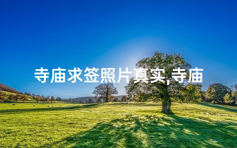 寺庙求签照片真实,寺庙求签的照片