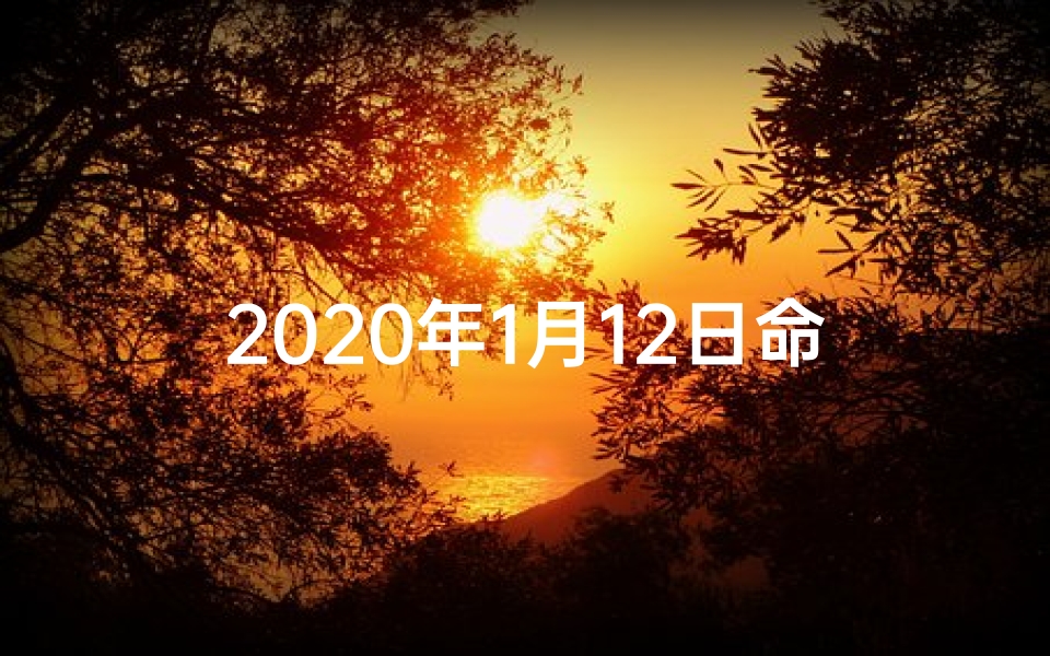 2020年1月12日命格,2020年1月12日什么命