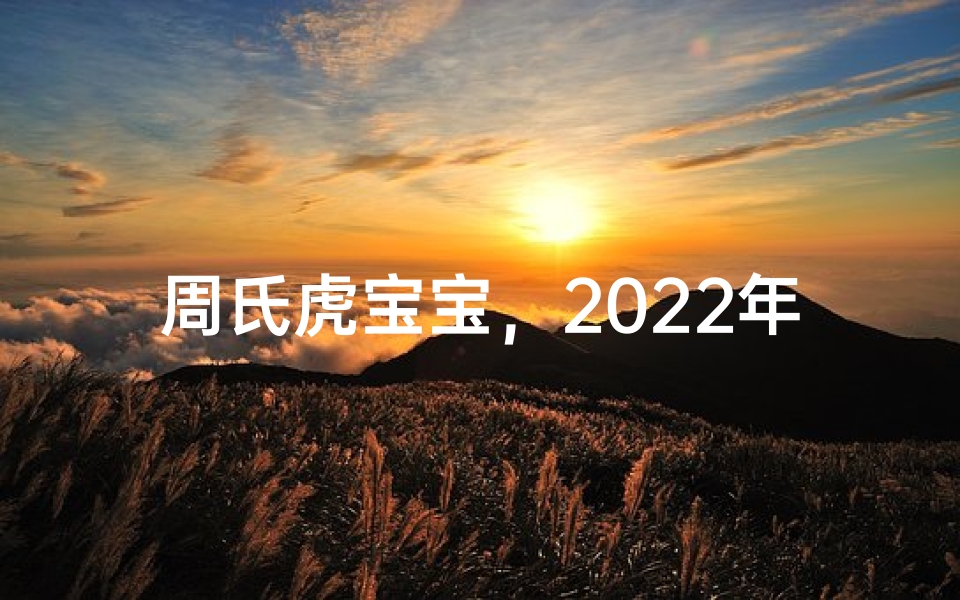 周氏虎宝宝，2022年吉祥如意好名字揭晓