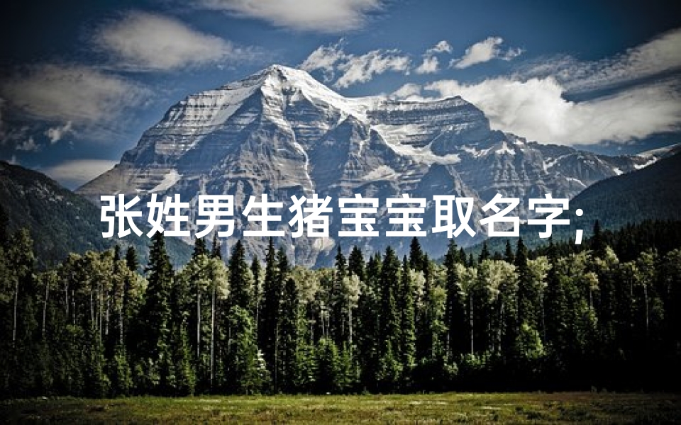 张姓男生猪宝宝取名字;张姓猪宝宝：寓意吉祥的个性名字推荐