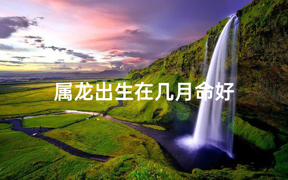 属龙出生在几月命好