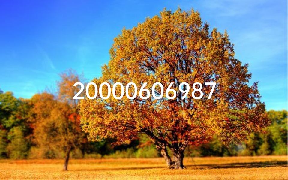 20000606987x命格好吗_《20000606987X命格：揭秘神秘数字背后的命运之谜》