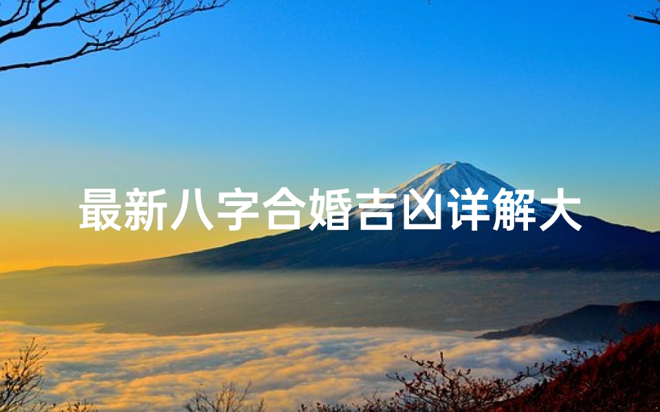 最新八字合婚吉凶详解大全—《八字合婚吉凶详析大全最新版》
