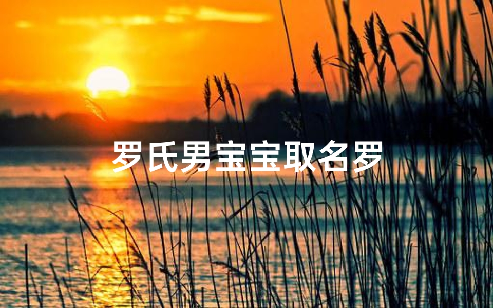 罗氏男宝宝取名罗