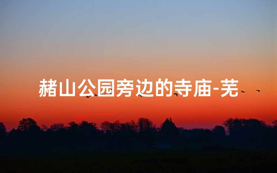 赭山公园旁边的寺庙-芜湖赭山公园寺庙求签：探寻神秘签文之旅
