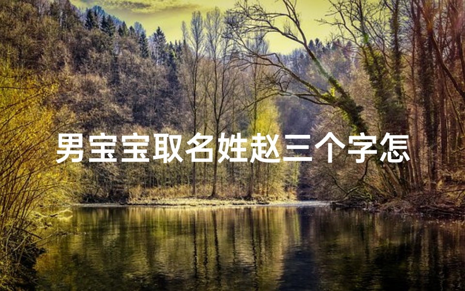 男宝宝取名姓赵三个字怎么取-姓赵的男名字三个字
