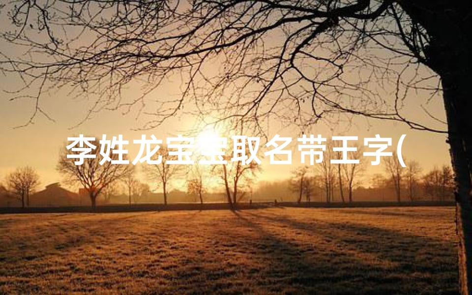 李姓龙宝宝取名带王字(《龙腾盛世，李氏龙宝宝取名之王者风范》)
