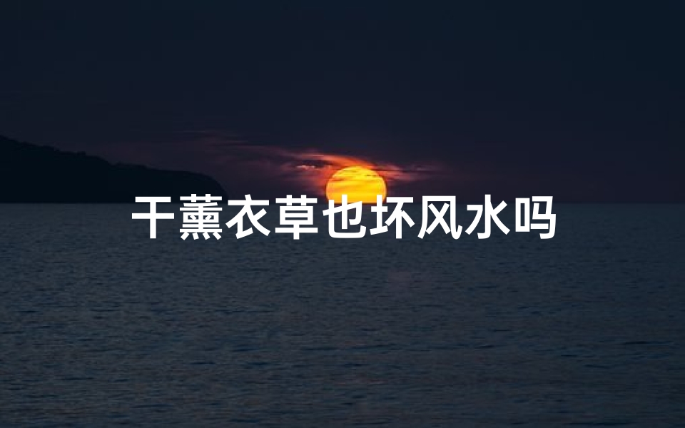 干薰衣草也坏风水吗