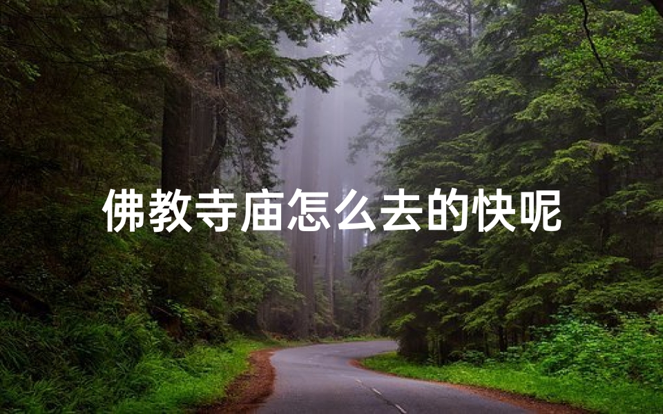 佛教寺庙怎么去的快呢