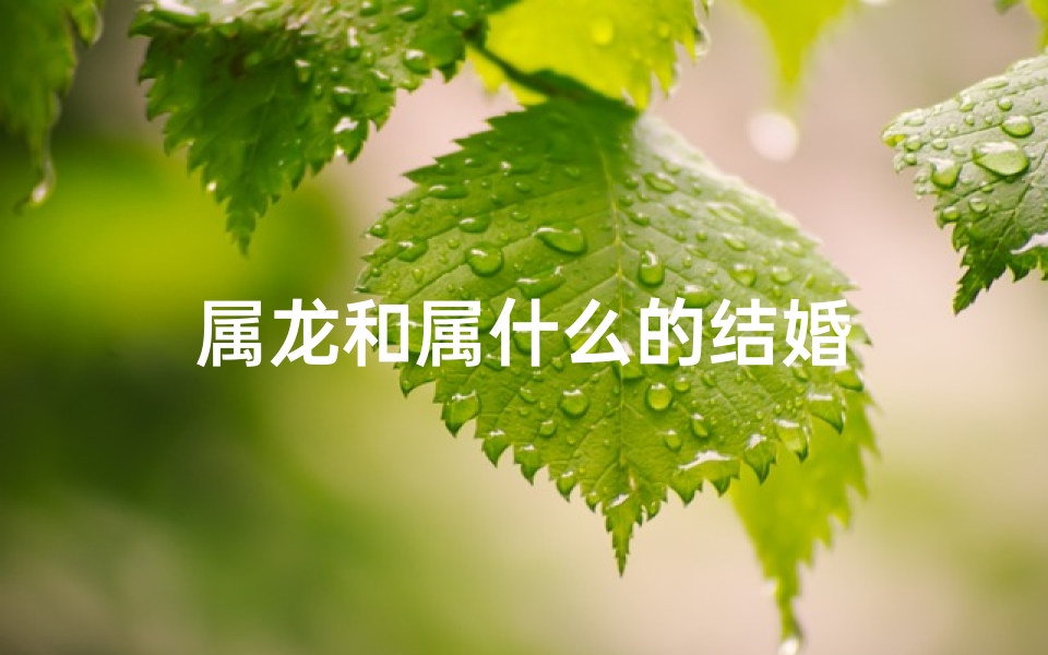 属龙和属什么的结婚