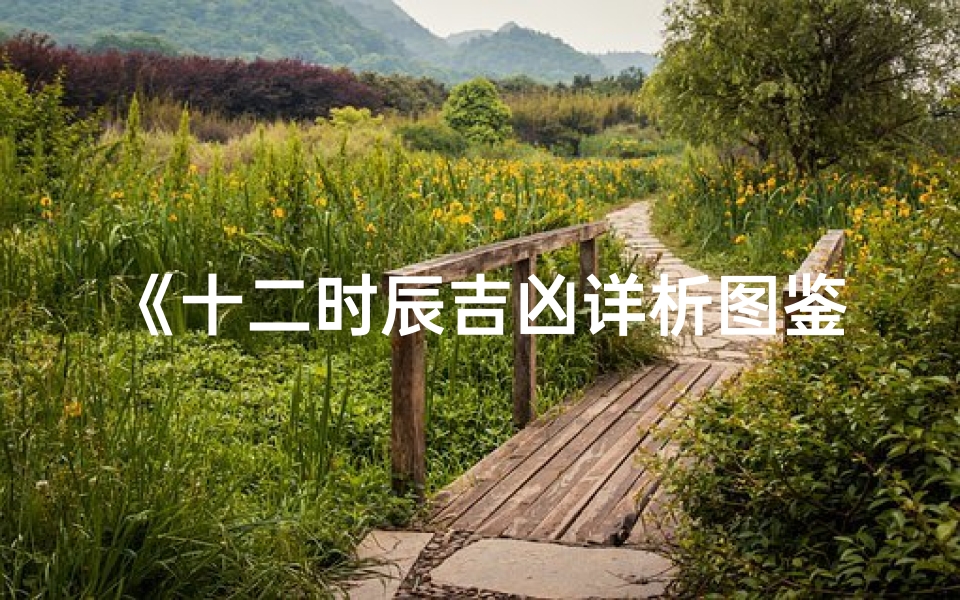 《十二时辰吉凶详析图鉴》