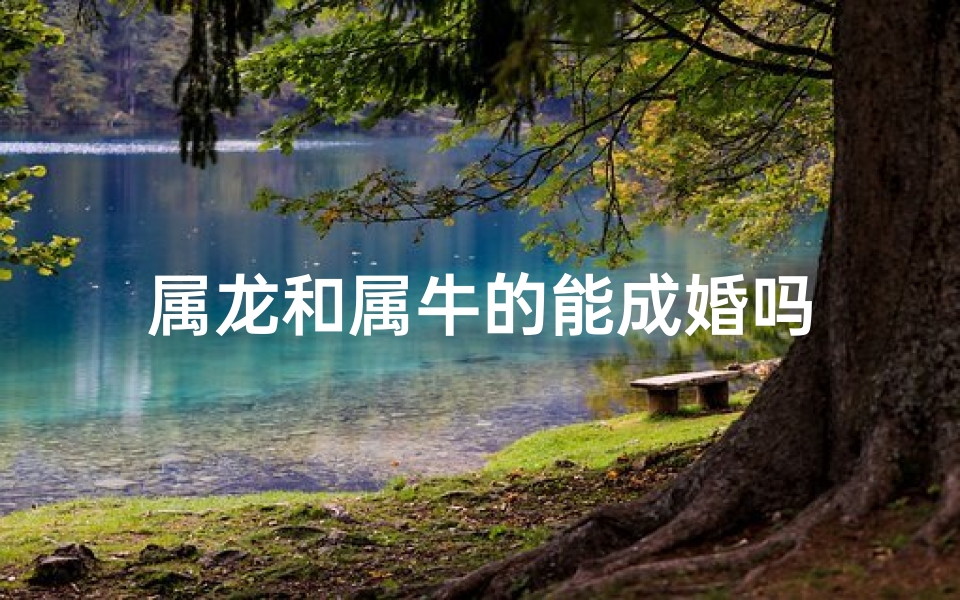 属龙和属牛的能成婚吗