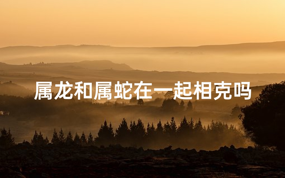 属龙和属蛇在一起相克吗