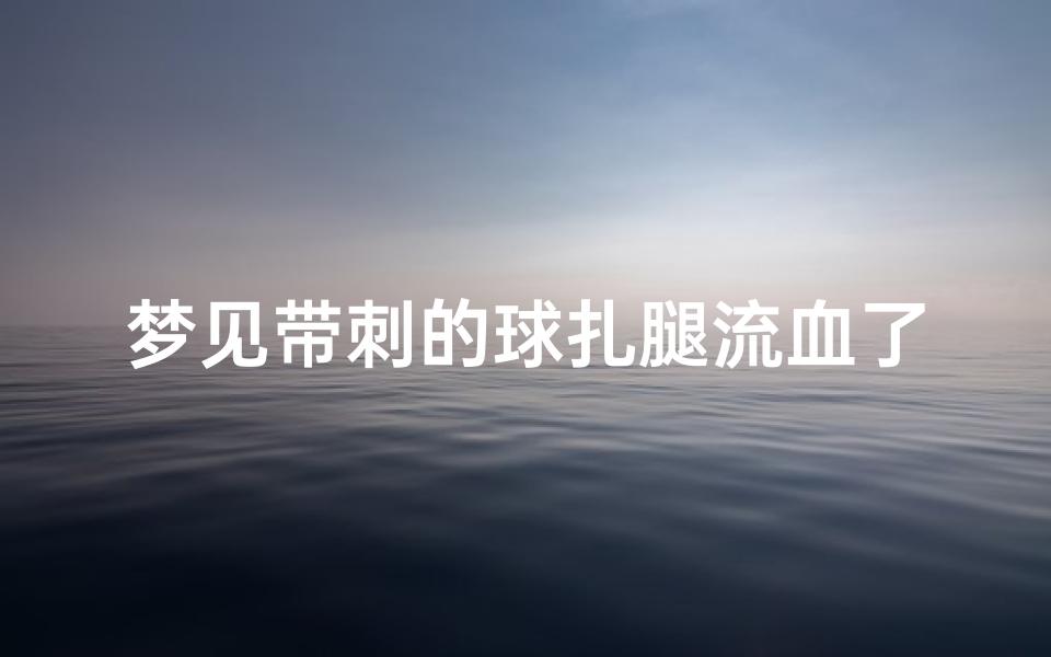 梦见带刺的球扎腿流血了-梦见带刺的球扎腿流血了怎么回事