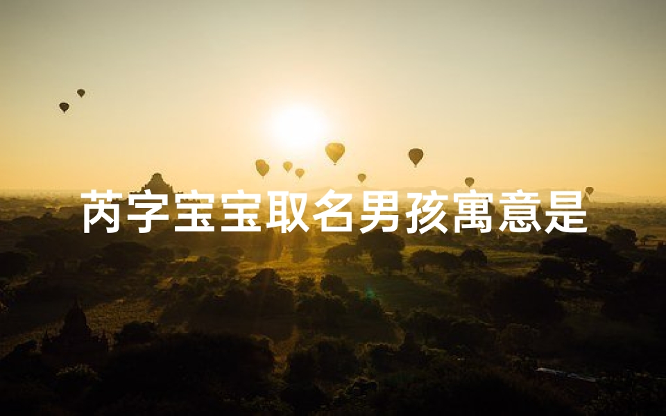 芮字宝宝取名男孩寓意是什么
