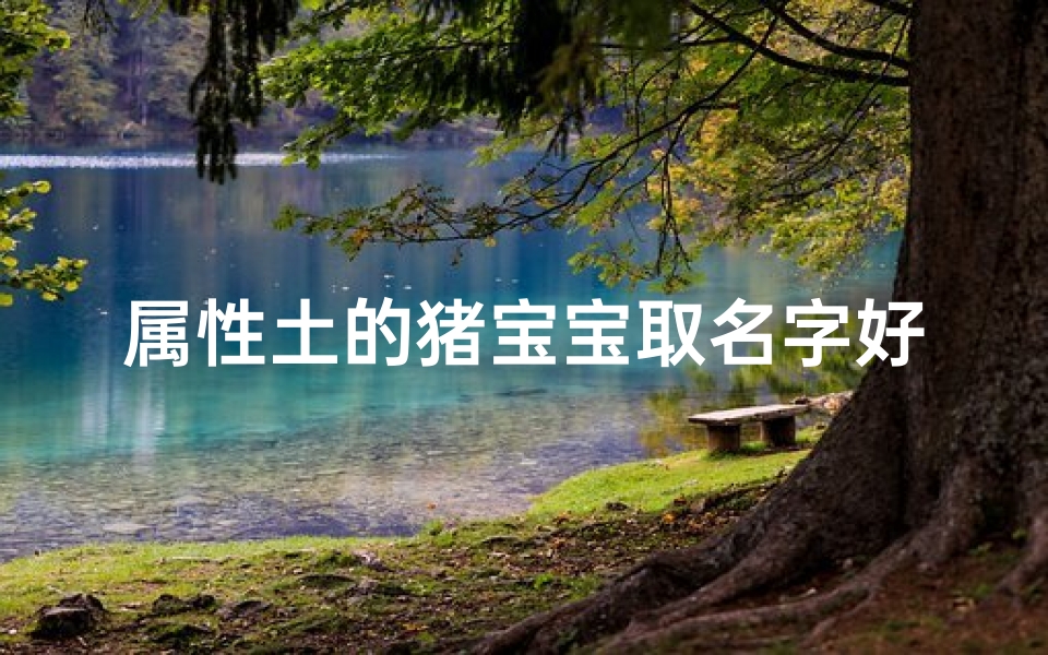 属性土的猪宝宝取名字好吗-土猪宝宝吉祥名：福土金猪，福满人间