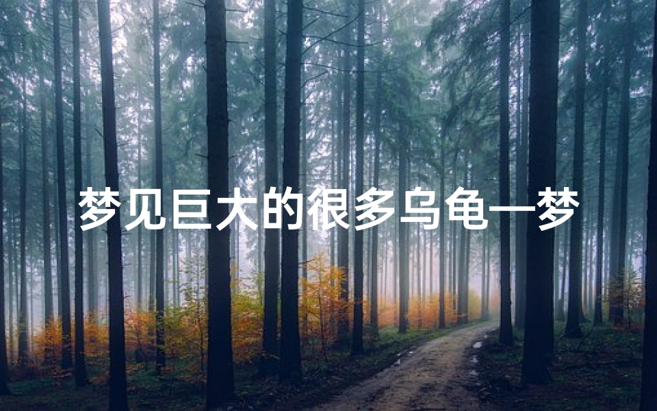 梦见巨大的很多乌龟—梦见好多巨大的乌龟