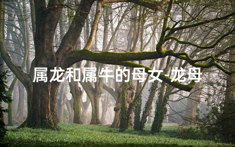 属龙和属牛的母女-龙母牛女情缘：生肖交融的母女情深