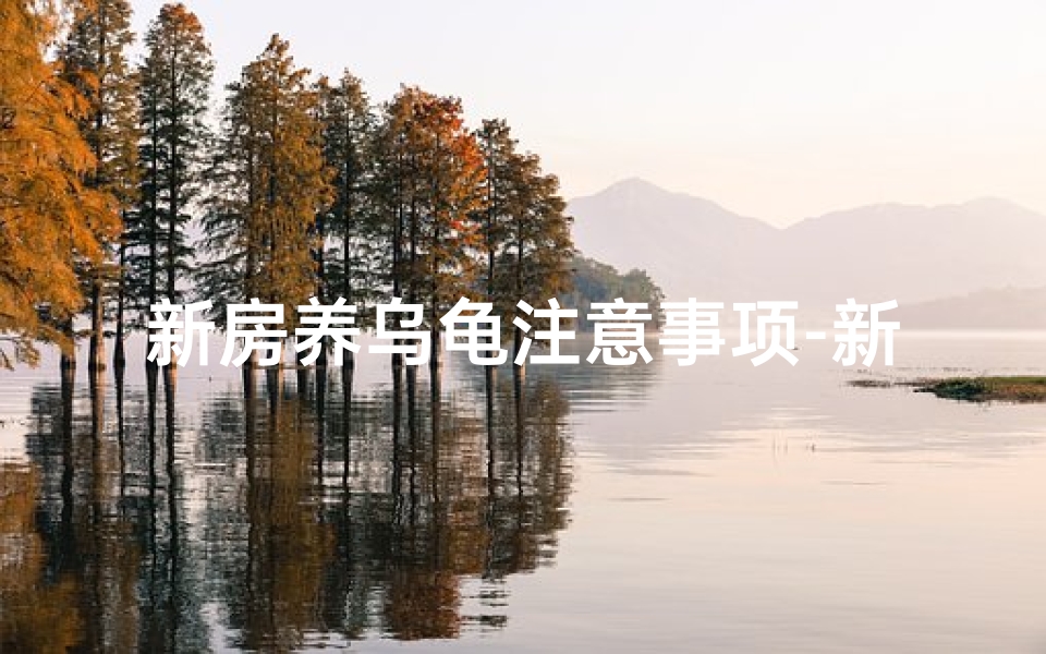 新房养乌龟注意事项-新家养龟风水秘籍：辟邪旺运招财宝