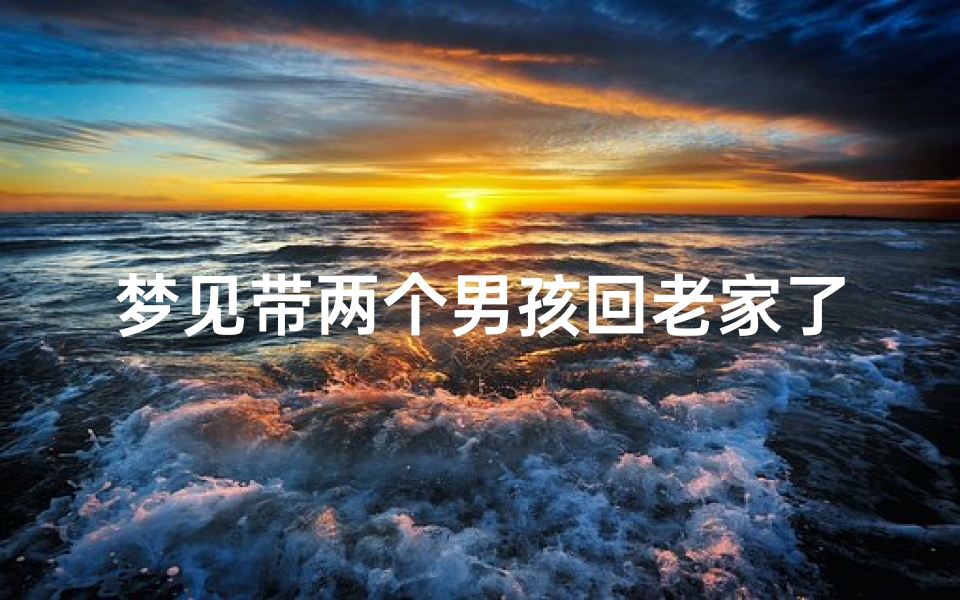 梦见带两个男孩回老家了—梦见带了两个小孩回家