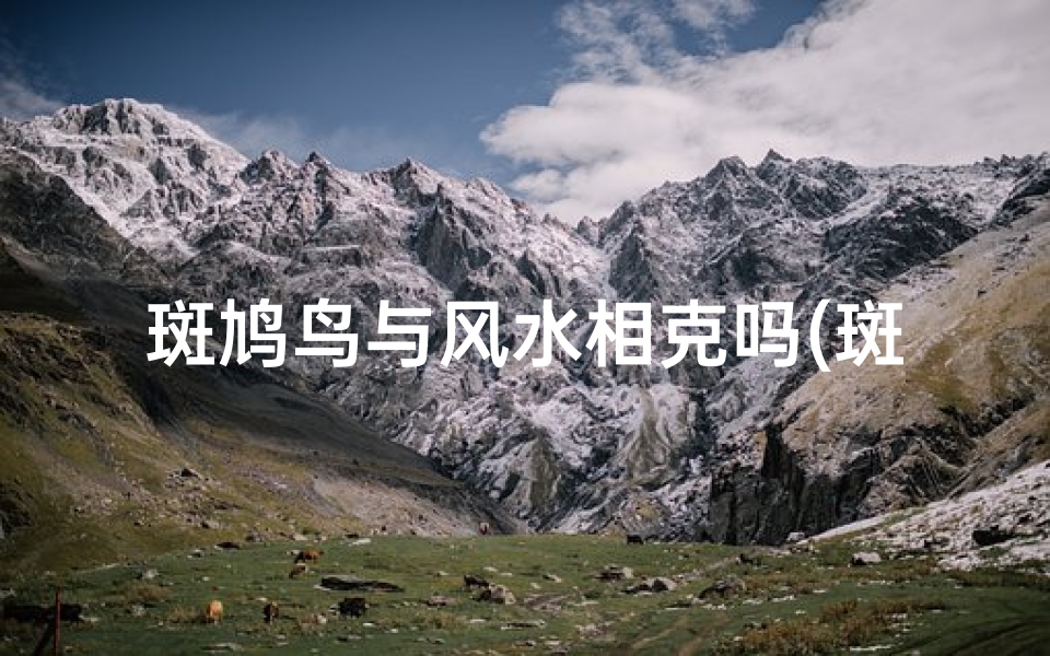 斑鸠鸟与风水相克吗(斑鸠鸟好吗)