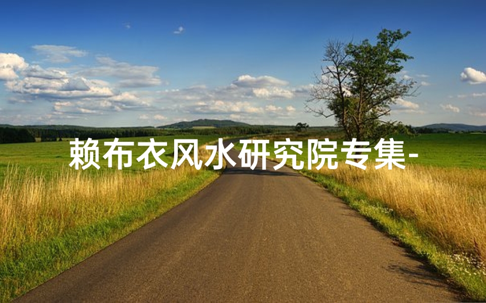 赖布衣风水研究院专集-赖布衣自测风水：揭秘大师的神秘布局