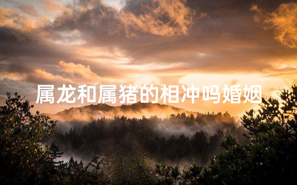 属龙和属猪的相冲吗婚姻(属龙和属猪的相冲吗婚姻如何)