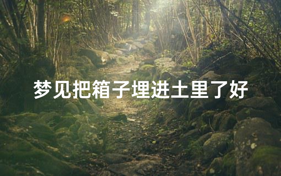 梦见把箱子埋进土里了好不好、梦见把箱子埋进土里了好不好呀