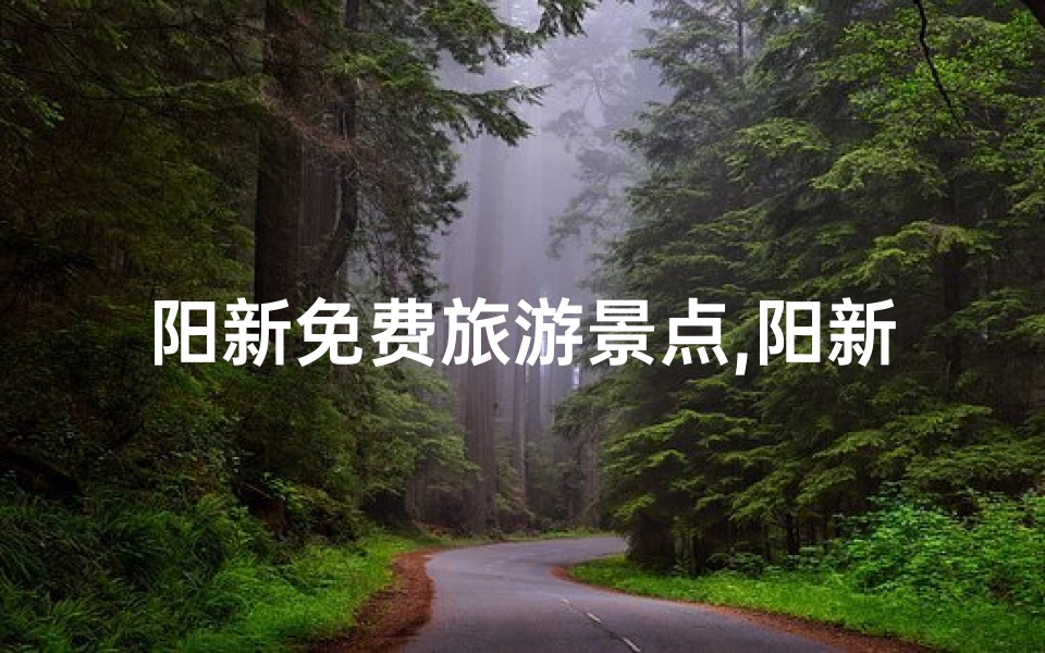 阳新免费旅游景点,阳新寺庙求签之地揭秘