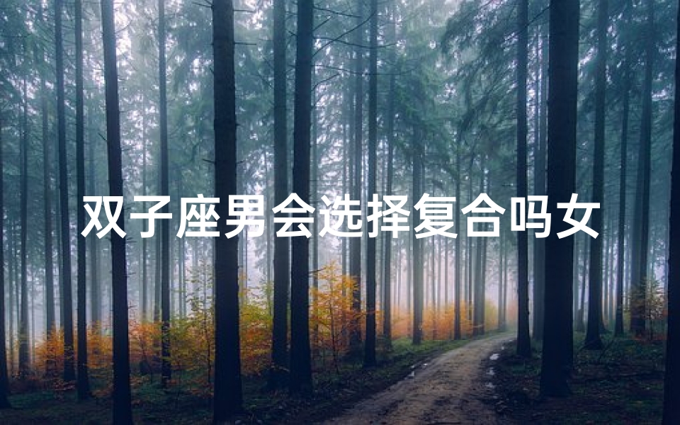双子座男会选择复合吗女生-双子座男会回头找复合吗？