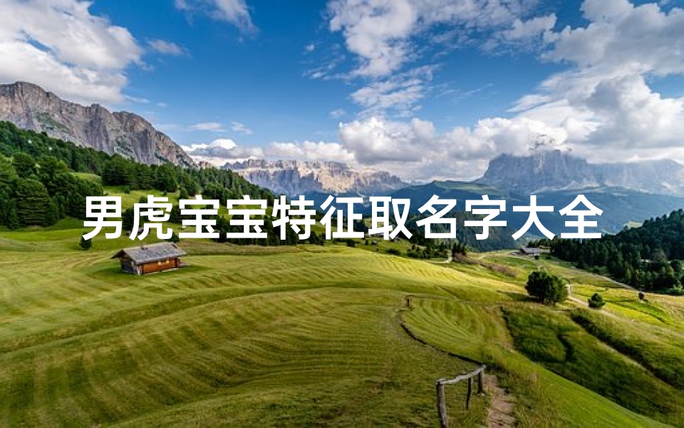 男虎宝宝特征取名字大全(属虎的宝宝取名字大全 霸气好听的虎宝宝名字大全)