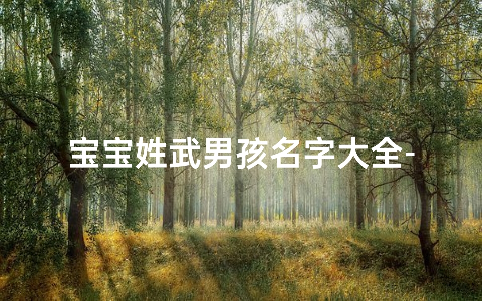 宝宝姓武男孩名字大全-2024年2月武姓宝宝诞生，喜提温馨新名