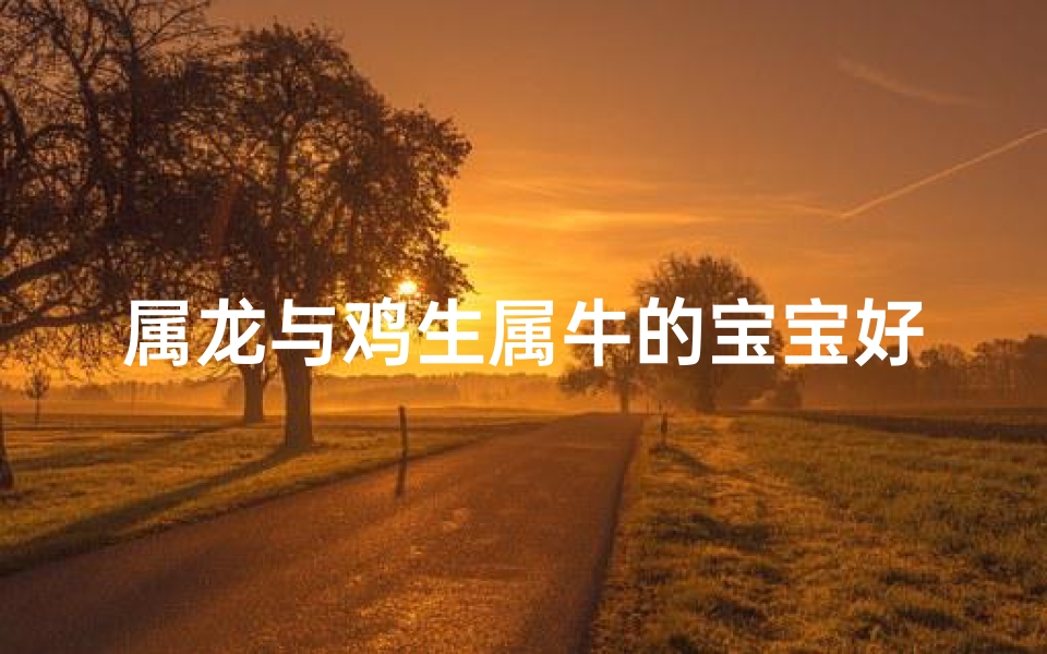 属龙与鸡生属牛的宝宝好吗
