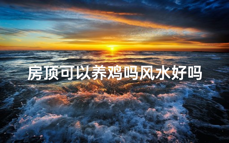 房顶可以养鸡吗风水好吗