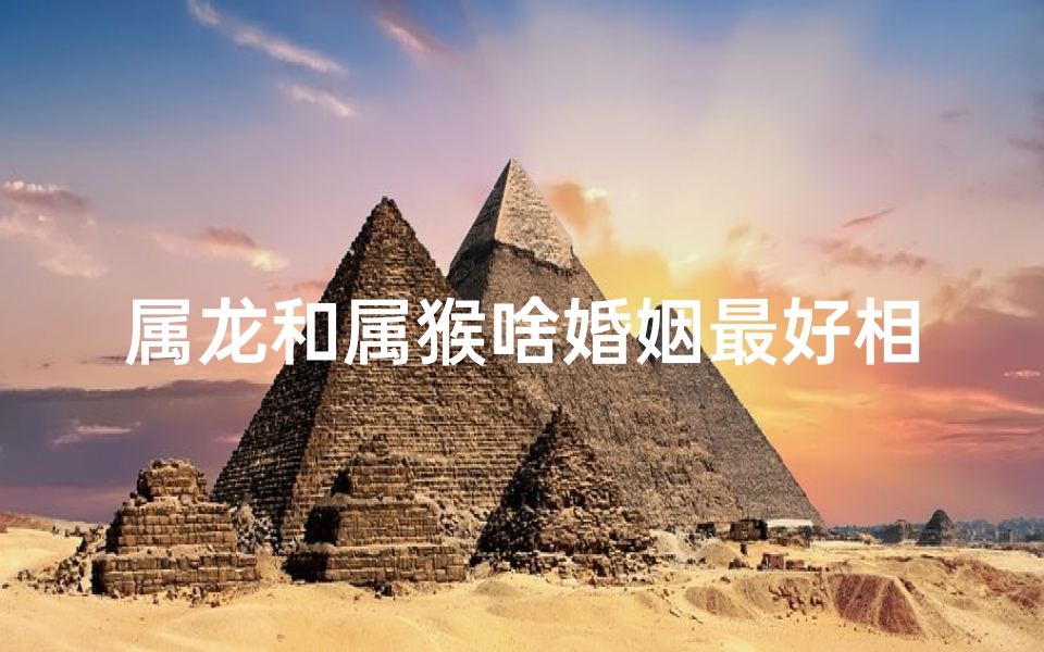 属龙和属猴啥婚姻最好相配