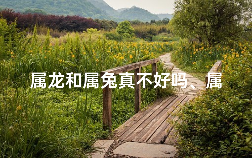 属龙和属兔真不好吗、属龙属兔缘何不配？