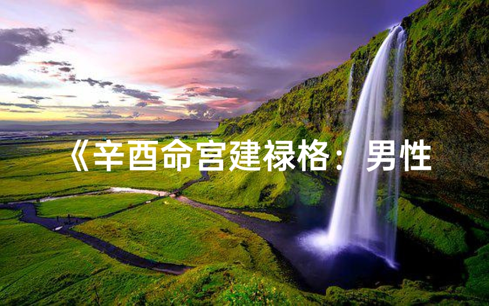《辛酉命宫建禄格：男性命运解析之道》