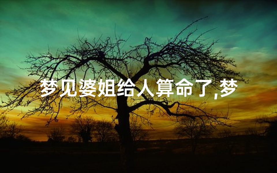 梦见婆姐给人算命了,梦见姐姐给别人算命