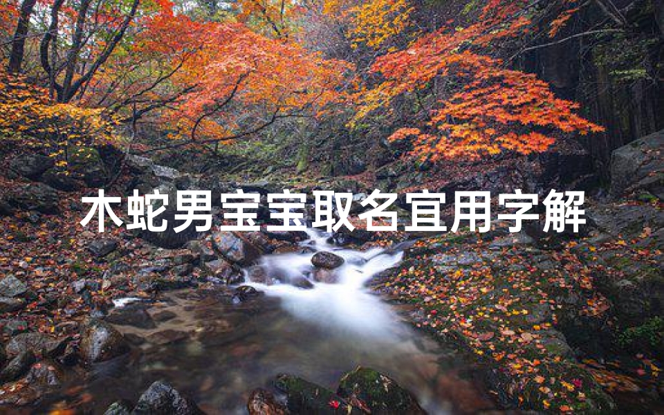木蛇男宝宝取名宜用字解析;《木蛇男宝宝取名宜用字深度解析》