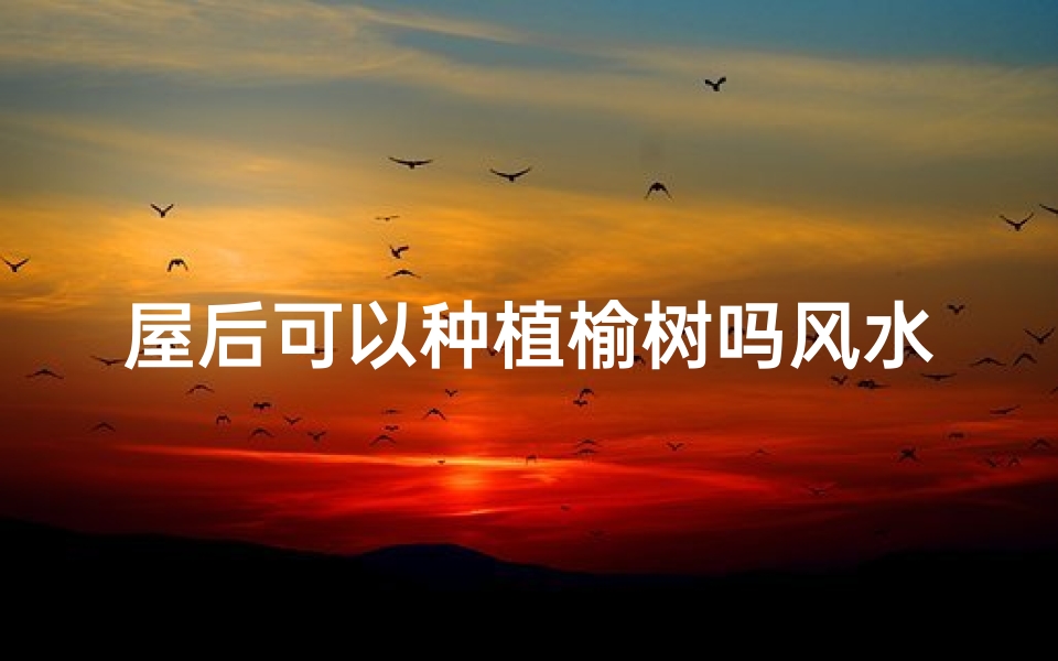 屋后可以种植榆树吗风水,屋后栽榆树栽几颗风水好吗