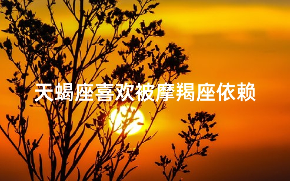 天蝎座喜欢被摩羯座依赖吗知乎_天蝎摩羯：依赖背后的深情火花