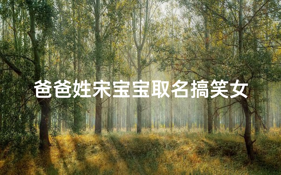 爸爸姓宋宝宝取名搞笑女孩-《宋爸家的搞笑萌宝：宝宝取名大作战》