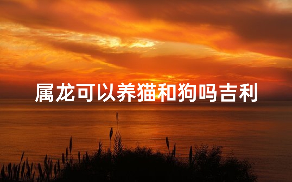 属龙可以养猫和狗吗吉利吗_属龙可以养猫吗？
